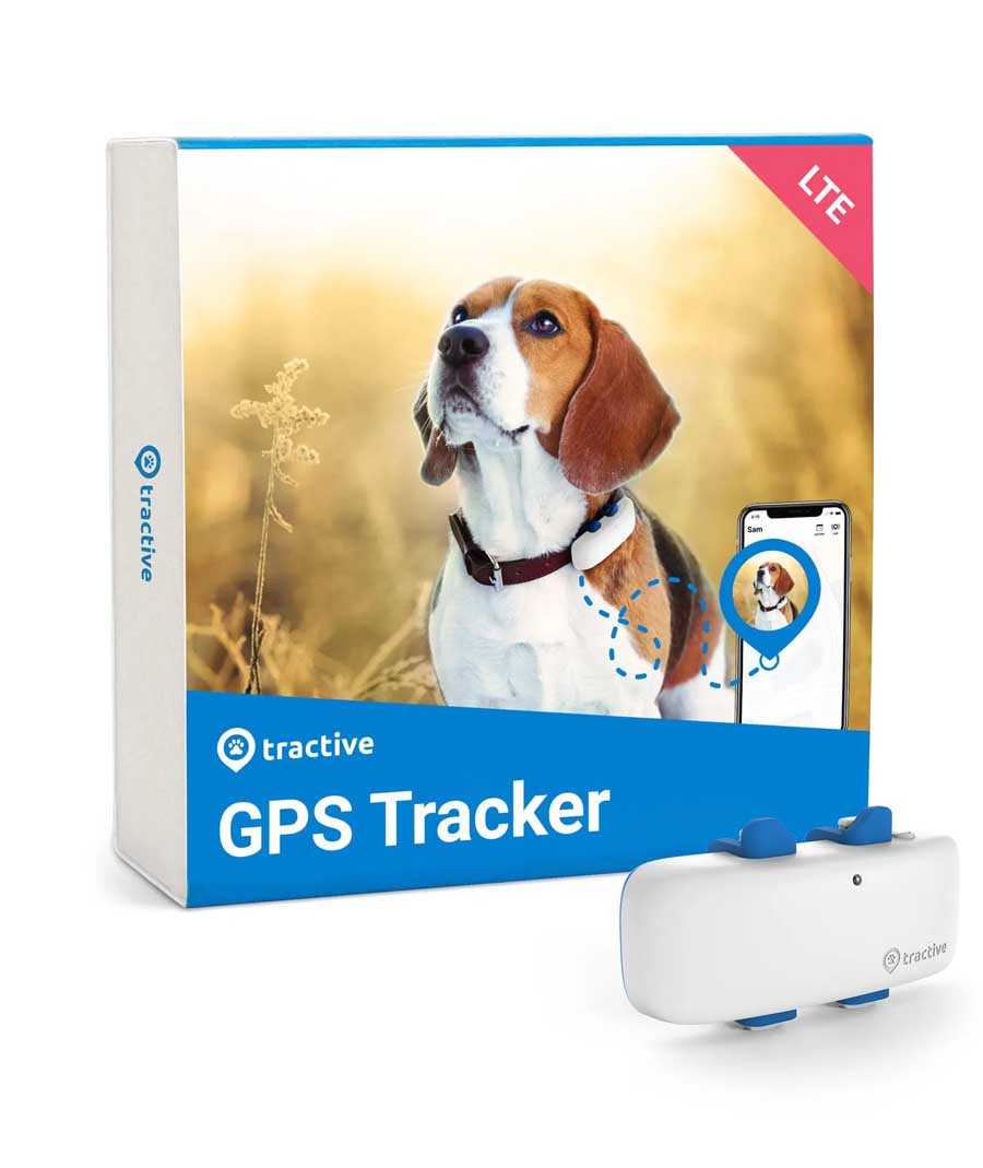 Tractive DOG 4 GPS Παρακολούθησης δραστηριότητας σκύλου White (Τεμάχιο)