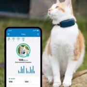 Tractive CAT 4 GPS Παρακολούθησης δραστηριότητας γάτας Blue (Τεμάχιο)