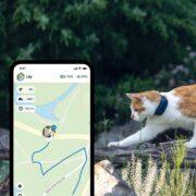 Tractive CAT 4 GPS Tracker Παρακολούθησης Δραστηριότητας Γάτας με Ρυθμιζόμενο κολάρο Blue (Σετ)