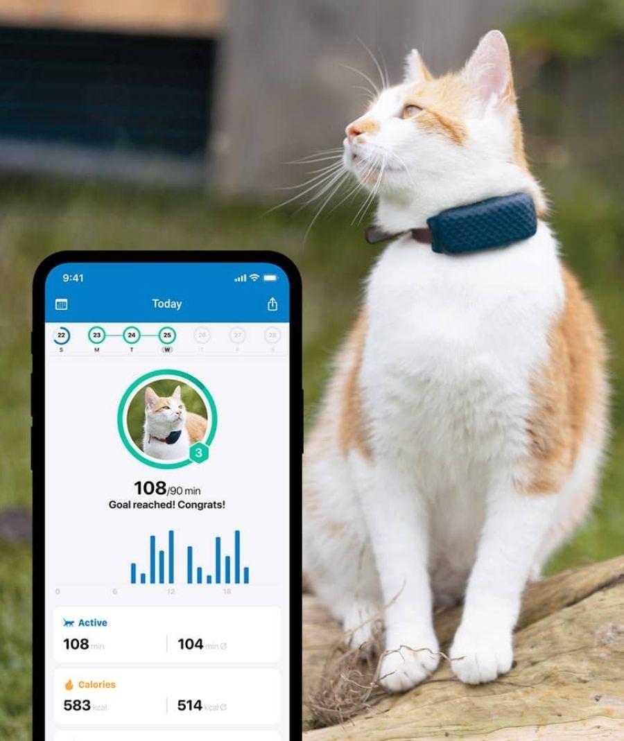 Tractive CAT 4 GPS Tracker Παρακολούθησης Δραστηριότητας Γάτας με Ρυθμιζόμενο κολάρο Blue (Σετ)